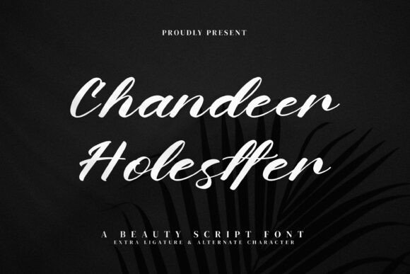 Chandeer Holestter